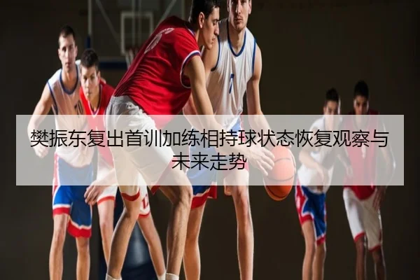 樊振东复出首训加练相持球状态恢复观察与未来走势